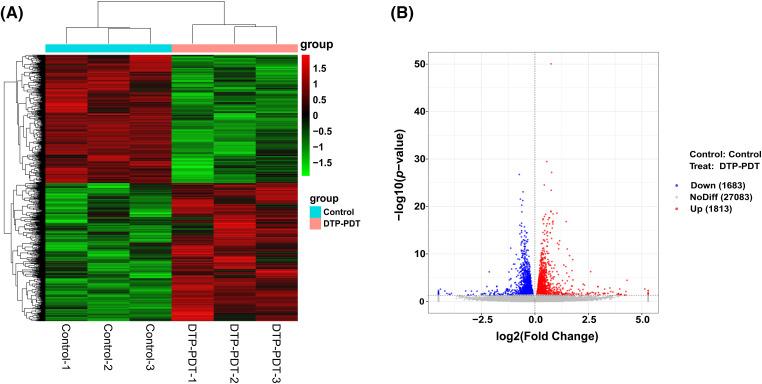 https://cdn.ncbi.nlm.nih.gov/pmc/blobs/f180/11055994/420a5e8b17a0/OncolRes-32-42384-f007.jpg