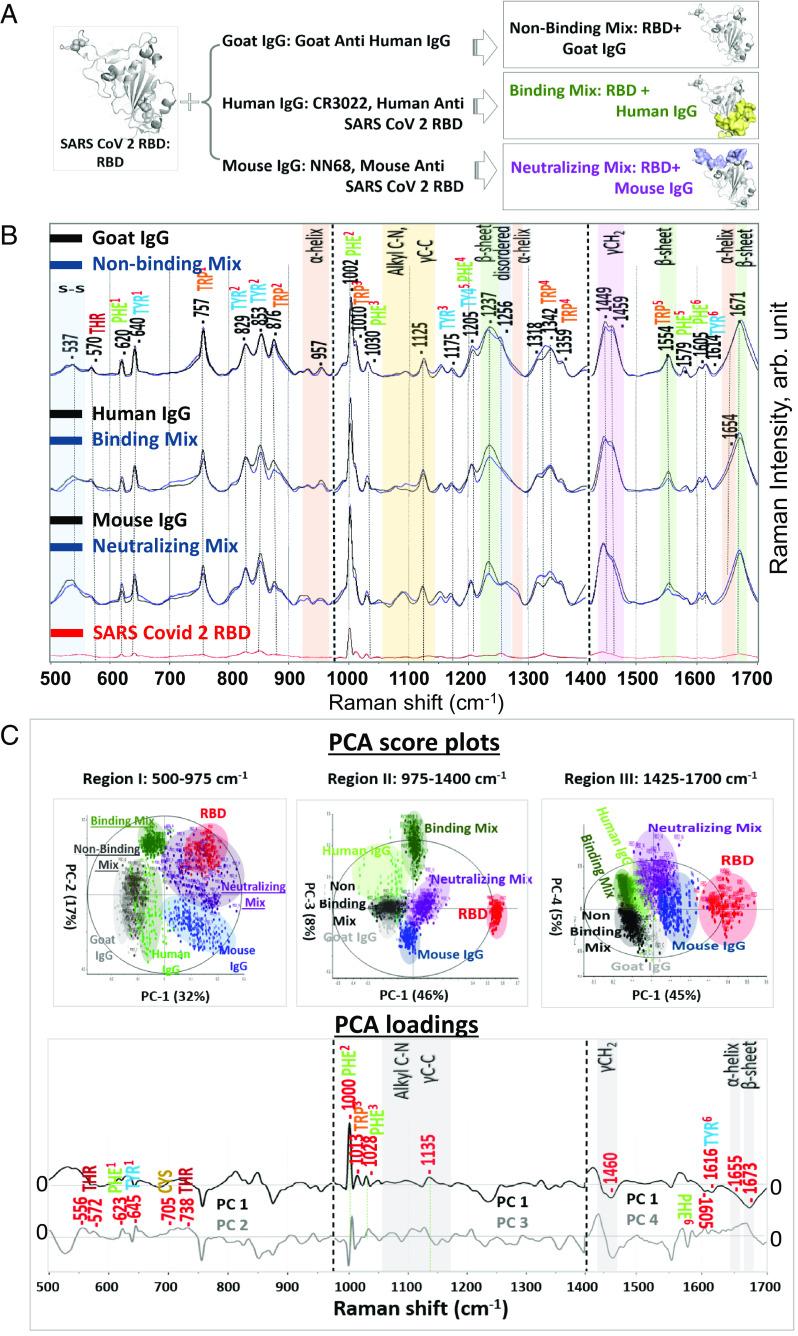 https://cdn.ncbi.nlm.nih.gov/pmc/blobs/f182/10372630/b1a13857febd/pnas.2218826120fig05.jpg