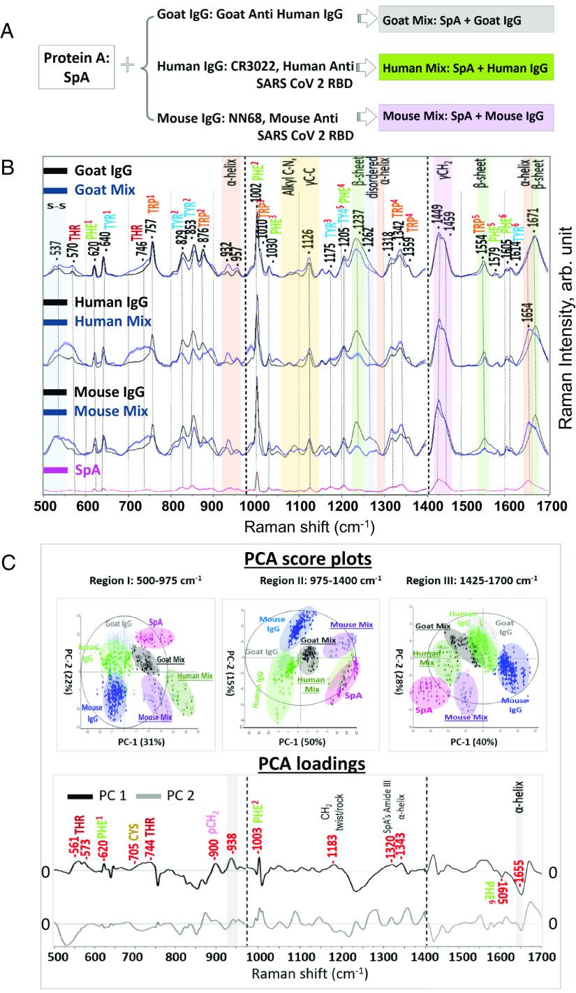 https://cdn.ncbi.nlm.nih.gov/pmc/blobs/f182/10372630/bd9d6ef30086/pnas.2218826120fig04.jpg