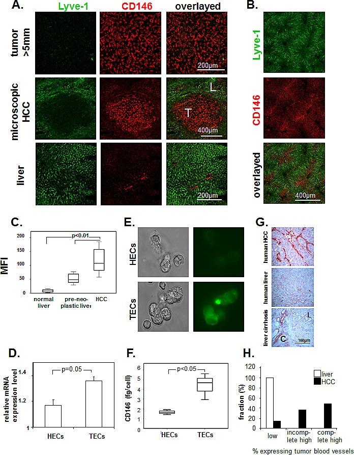 https://cdn.ncbi.nlm.nih.gov/pmc/blobs/f182/4226708/3e1e76c7042f/oncotarget-05-8614-g001.jpg