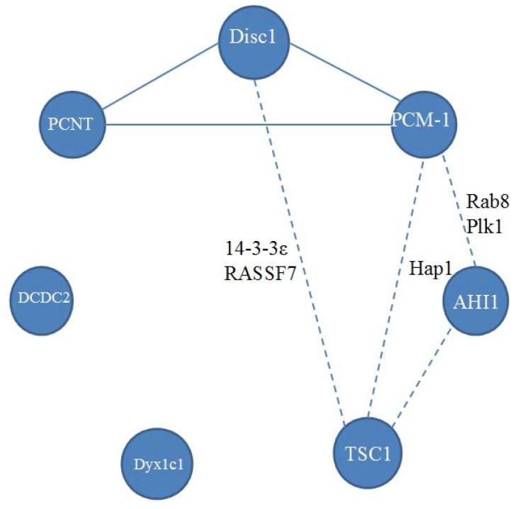 https://cdn.ncbi.nlm.nih.gov/pmc/blobs/f183/5333037/5ee8005c959f/genes-08-00048-g002.jpg