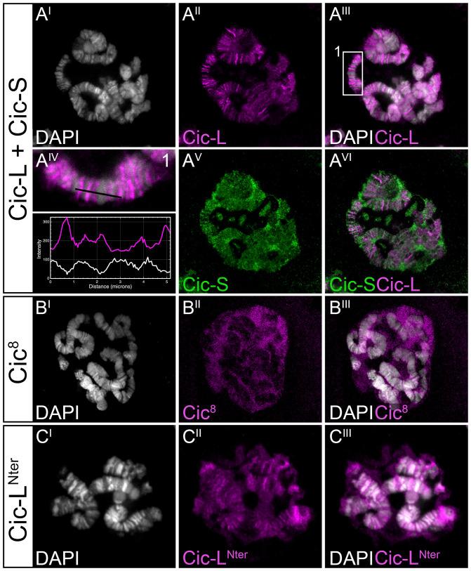 https://cdn.ncbi.nlm.nih.gov/pmc/blobs/f183/9351367/7826a8c1c42c/pnas.2123467119fig03.jpg