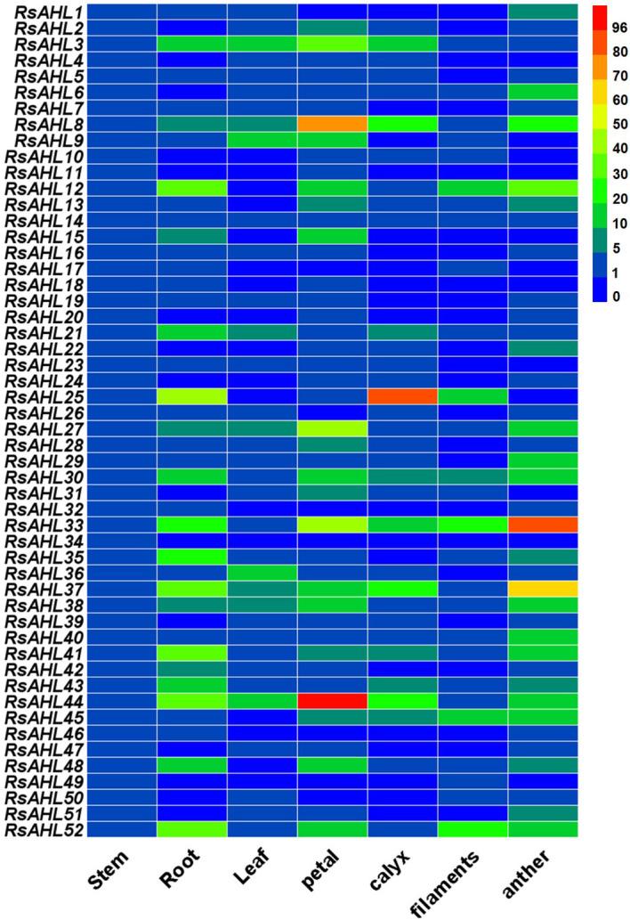 https://cdn.ncbi.nlm.nih.gov/pmc/blobs/f184/11169806/6d369b4dc9e6/fpls-15-1401414-g006.jpg