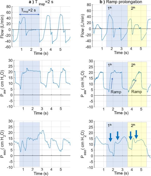 https://cdn.ncbi.nlm.nih.gov/pmc/blobs/f185/11448015/602395ad0df4/12931_2024_2984_Fig7_HTML.jpg