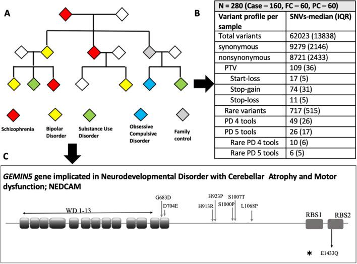 https://cdn.ncbi.nlm.nih.gov/pmc/blobs/f187/9729597/e857f498d09f/41598_2022_25664_Fig1_HTML.jpg