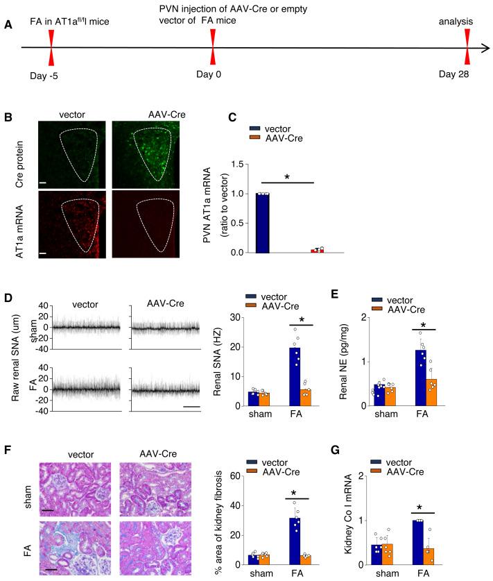 https://cdn.ncbi.nlm.nih.gov/pmc/blobs/f188/11439387/78e0156ef622/peerj-12-18166-g003.jpg