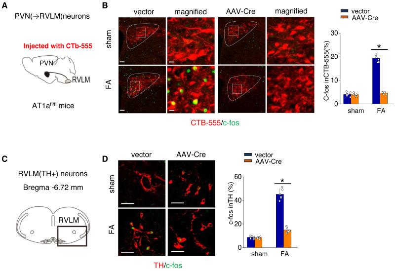 https://cdn.ncbi.nlm.nih.gov/pmc/blobs/f188/11439387/8d65545db7ce/peerj-12-18166-g005.jpg