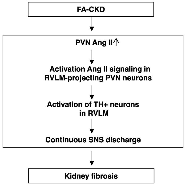 https://cdn.ncbi.nlm.nih.gov/pmc/blobs/f188/11439387/93286493652f/peerj-12-18166-g006.jpg
