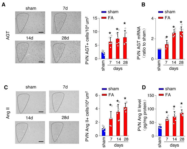 https://cdn.ncbi.nlm.nih.gov/pmc/blobs/f188/11439387/98c8f7f0e908/peerj-12-18166-g002.jpg