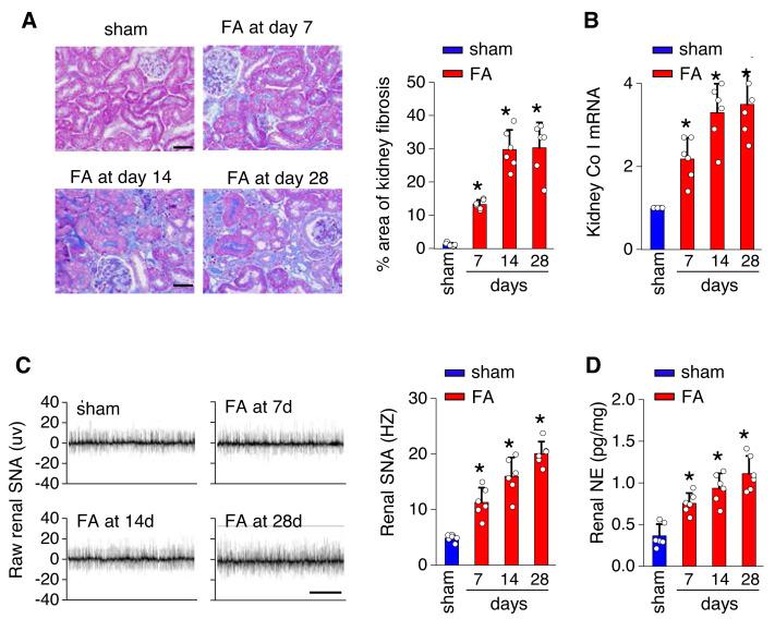 https://cdn.ncbi.nlm.nih.gov/pmc/blobs/f188/11439387/b9242fc5beeb/peerj-12-18166-g001.jpg