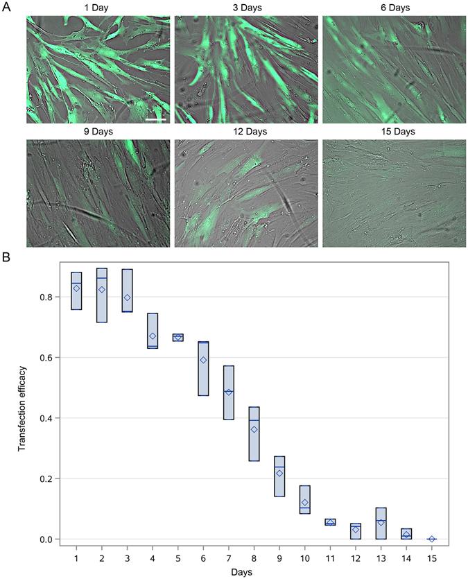 https://cdn.ncbi.nlm.nih.gov/pmc/blobs/f18a/5430815/18db71ca6c73/41598_2017_1304_Fig3_HTML.jpg