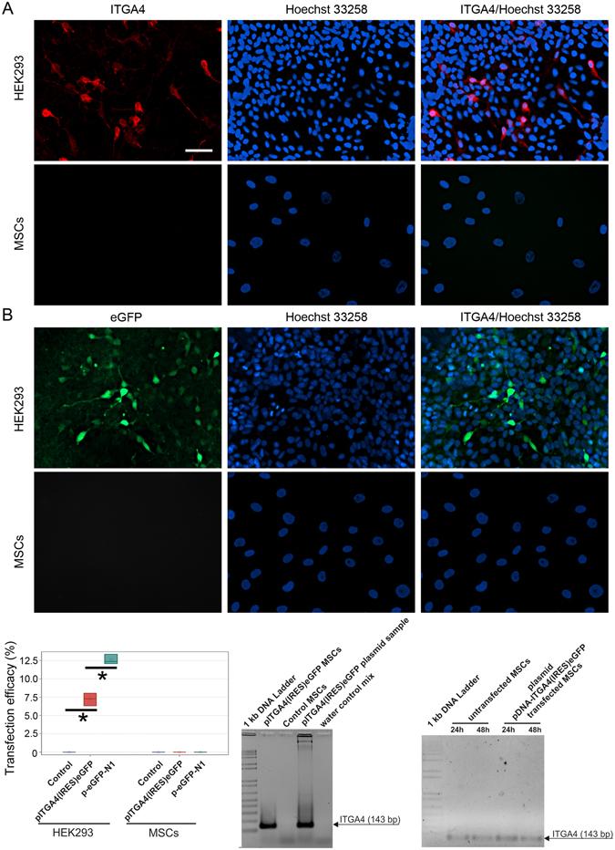 https://cdn.ncbi.nlm.nih.gov/pmc/blobs/f18a/5430815/68b22aa0dd5b/41598_2017_1304_Fig1_HTML.jpg