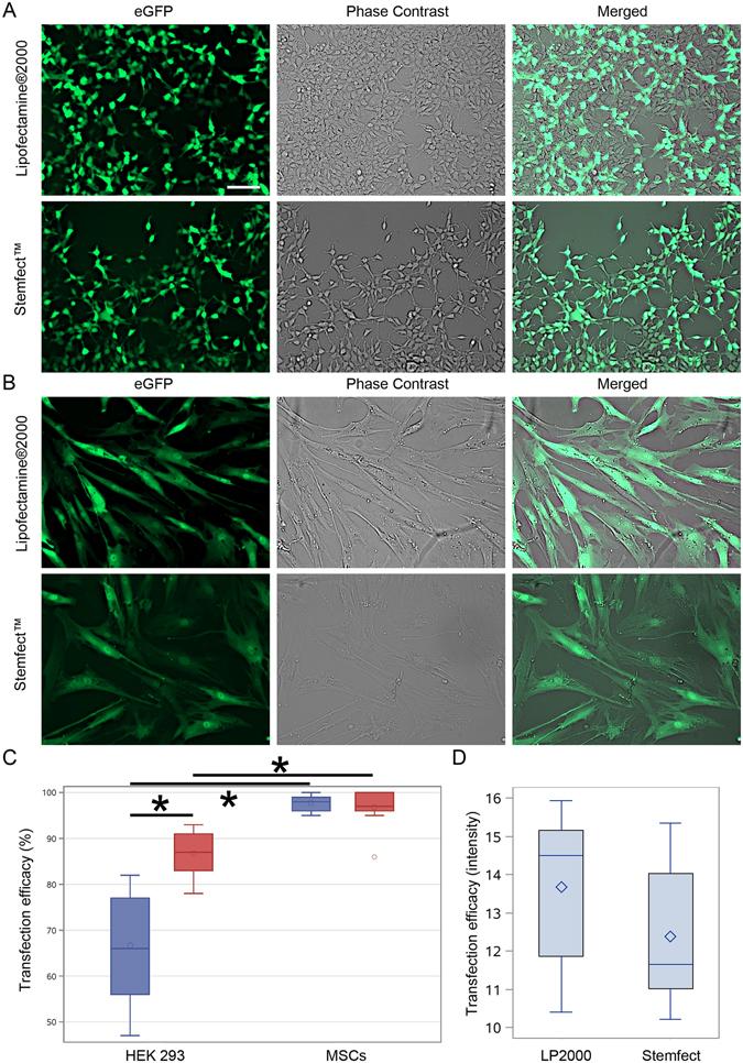 https://cdn.ncbi.nlm.nih.gov/pmc/blobs/f18a/5430815/c42c1254305f/41598_2017_1304_Fig2_HTML.jpg