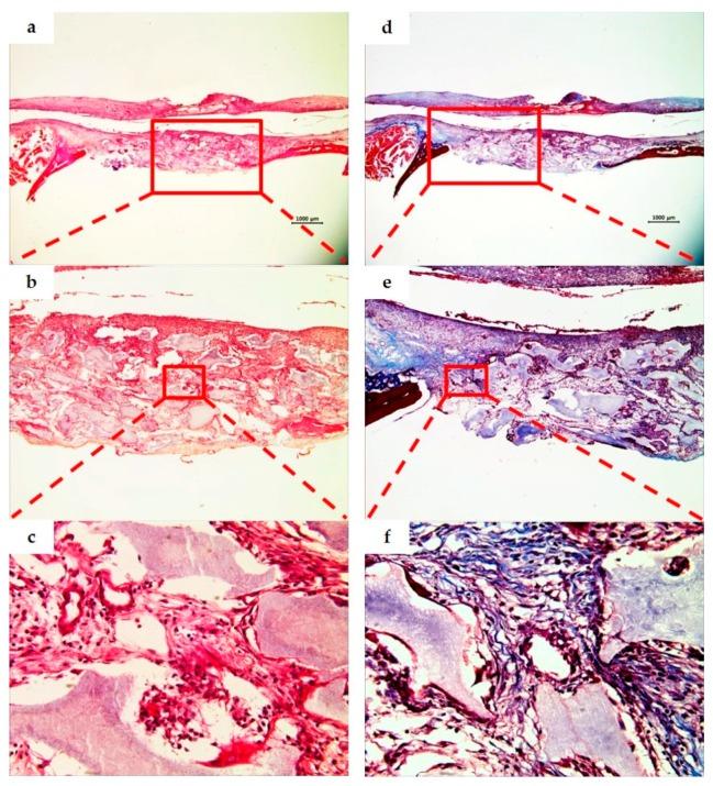 https://cdn.ncbi.nlm.nih.gov/pmc/blobs/f18b/5506921/5eeab14dc173/materials-10-00421-g006.jpg