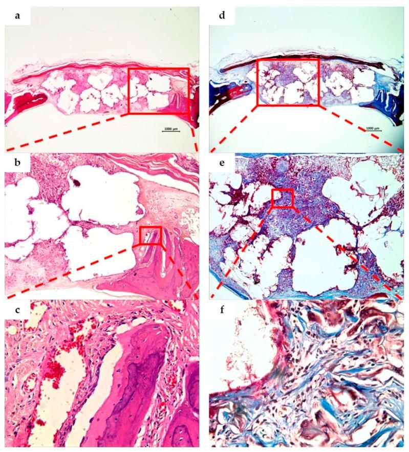 https://cdn.ncbi.nlm.nih.gov/pmc/blobs/f18b/5506921/7a0dc07b5ed1/materials-10-00421-g009.jpg
