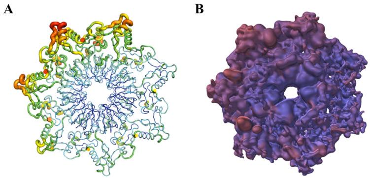 https://cdn.ncbi.nlm.nih.gov/pmc/blobs/f18d/10887528/ff898d25f662/cimb-46-00084-g005.jpg