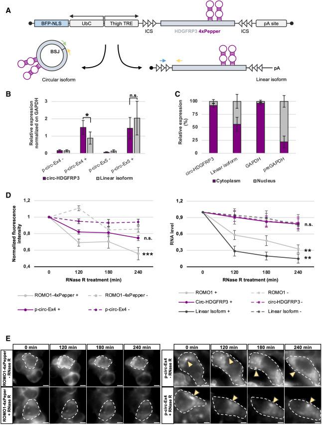 https://cdn.ncbi.nlm.nih.gov/pmc/blobs/f18e/11912908/350cae6b47d8/529f01.jpg