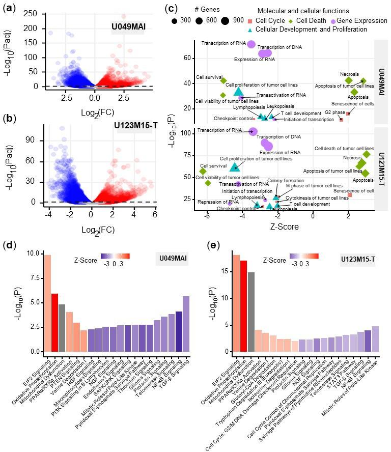 https://cdn.ncbi.nlm.nih.gov/pmc/blobs/f190/10861173/652cd7974b58/elife-85862-fig5.jpg