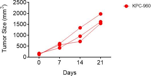 https://cdn.ncbi.nlm.nih.gov/pmc/blobs/f190/10861173/989a58c6359b/elife-85862-fig7-figsupp1.jpg