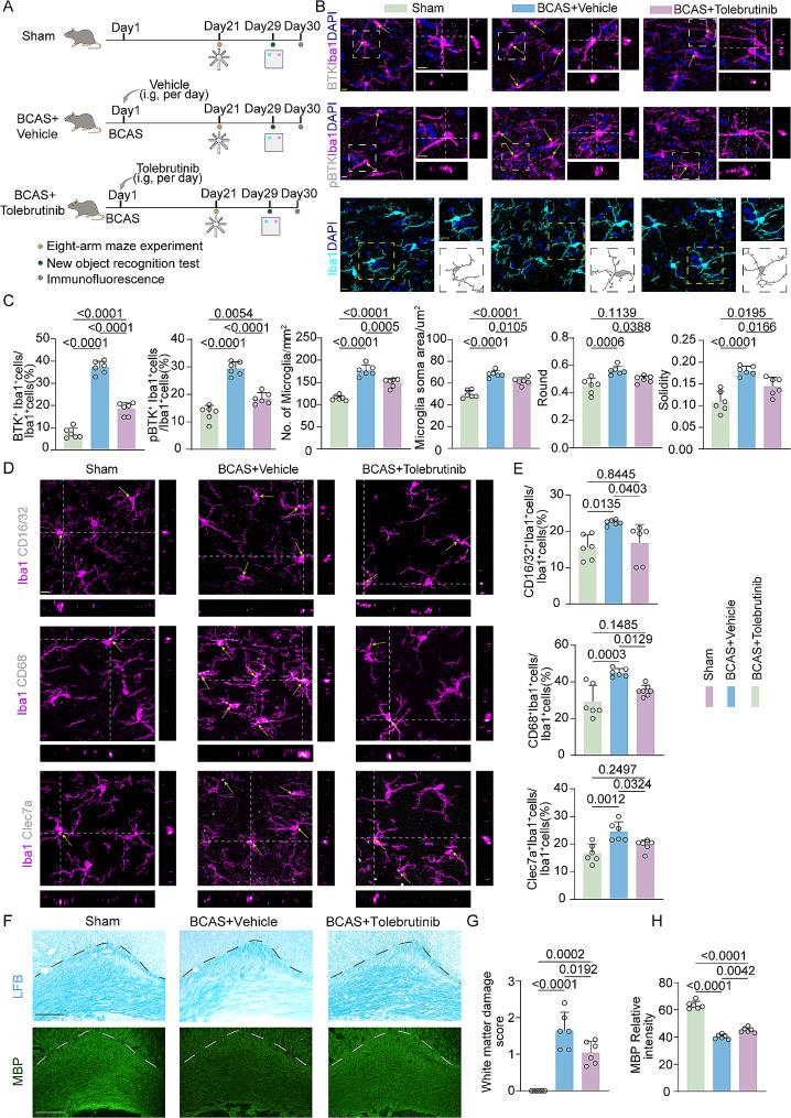 https://cdn.ncbi.nlm.nih.gov/pmc/blobs/f191/11297596/0900b5abbb69/12974_2024_3187_Fig2_HTML.jpg
