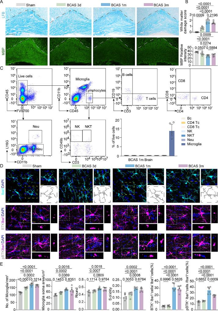 https://cdn.ncbi.nlm.nih.gov/pmc/blobs/f191/11297596/48e5d6c21202/12974_2024_3187_Fig1_HTML.jpg