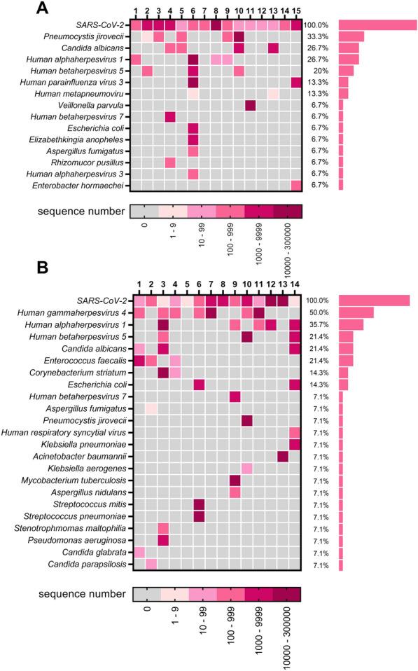 https://cdn.ncbi.nlm.nih.gov/pmc/blobs/f192/11613933/86db87cb75d2/40001_2024_2180_Fig2_HTML.jpg