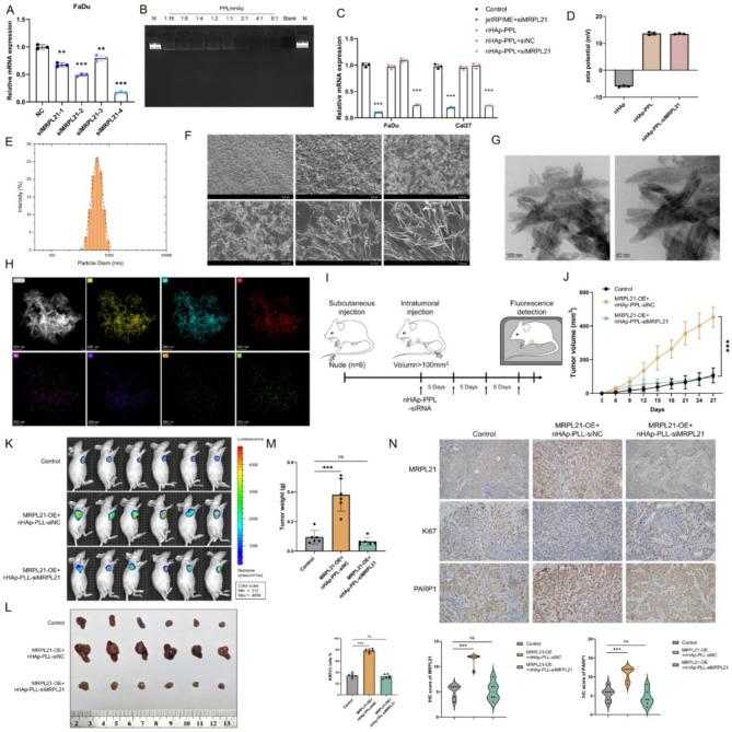 https://cdn.ncbi.nlm.nih.gov/pmc/blobs/f192/12297673/a8f1f73c2bf2/13046_2025_3482_Fig7_HTML.jpg