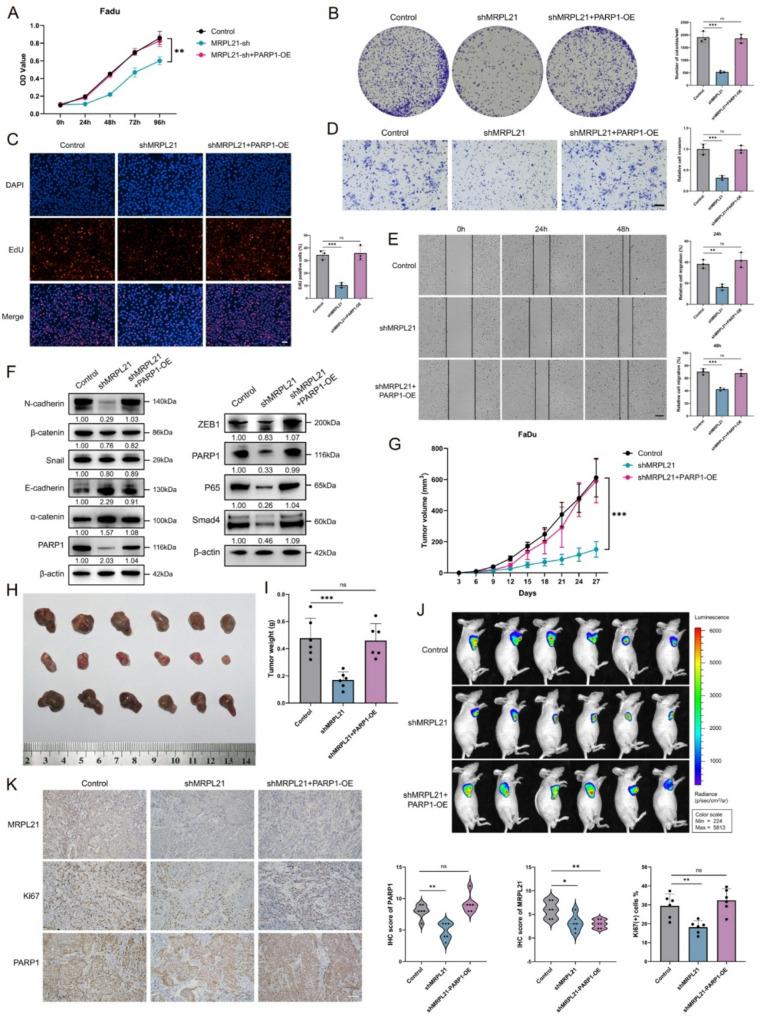 https://cdn.ncbi.nlm.nih.gov/pmc/blobs/f192/12297673/d666d7cb739a/13046_2025_3482_Fig4_HTML.jpg