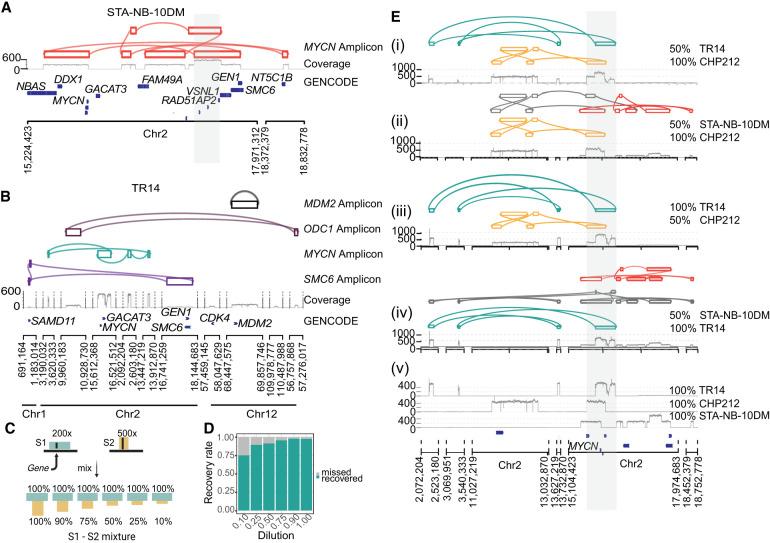 https://cdn.ncbi.nlm.nih.gov/pmc/blobs/f193/11529853/2f16b5867db2/1355f03.jpg