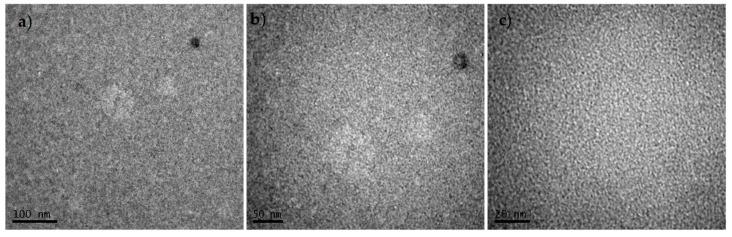 https://cdn.ncbi.nlm.nih.gov/pmc/blobs/f193/6409860/ba21616034e7/nanomaterials-09-00133-g013.jpg