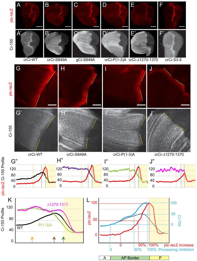 https://cdn.ncbi.nlm.nih.gov/pmc/blobs/f194/7679133/1db75f58c9f4/elife-61083-fig2.jpg