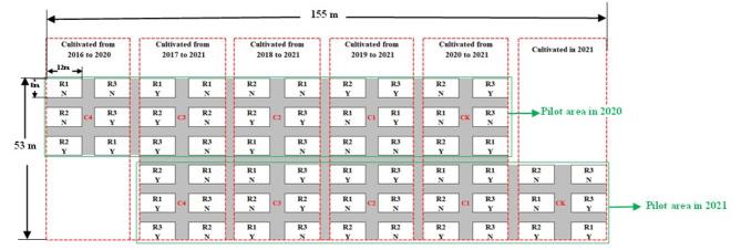 https://cdn.ncbi.nlm.nih.gov/pmc/blobs/f198/11717948/3d2644344df7/41598_2024_84372_Fig2_HTML.jpg