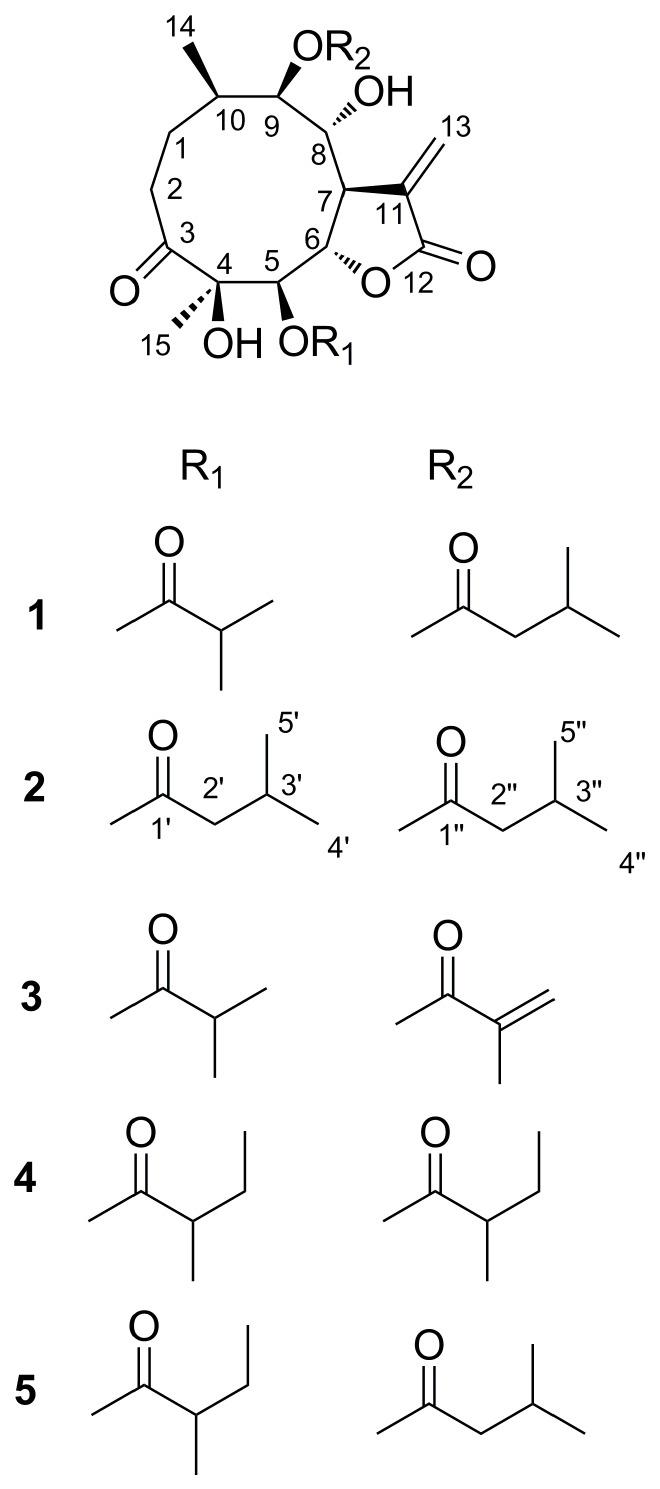 https://cdn.ncbi.nlm.nih.gov/pmc/blobs/f198/6102670/a267dbe68028/molecules-23-01078-g001.jpg