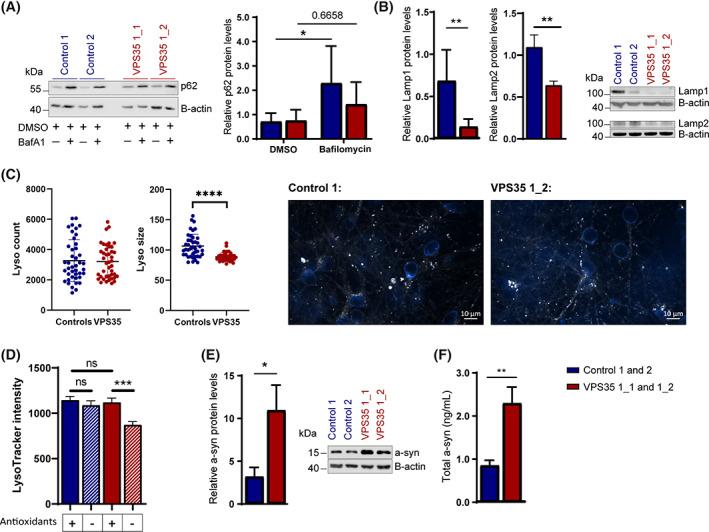https://cdn.ncbi.nlm.nih.gov/pmc/blobs/f19a/8048506/bc335ddcabef/MDS-36-704-g002.jpg