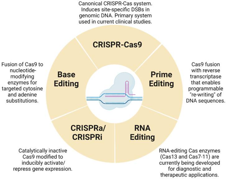 https://cdn.ncbi.nlm.nih.gov/pmc/blobs/f19d/10136740/2032babca178/cells-12-01103-g001.jpg
