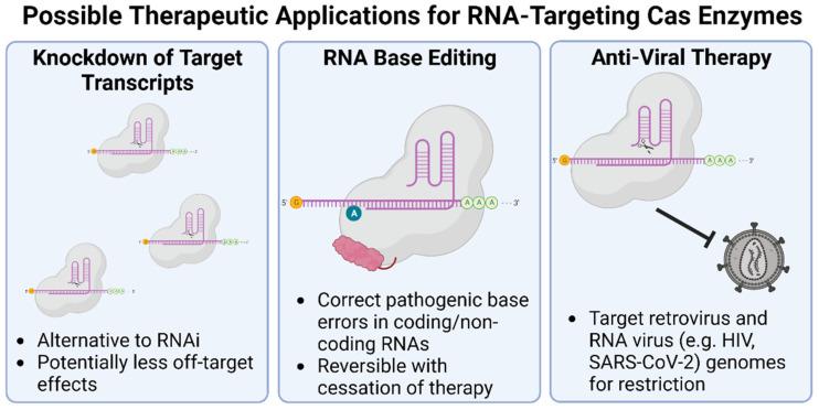https://cdn.ncbi.nlm.nih.gov/pmc/blobs/f19d/10136740/c6f872432599/cells-12-01103-g005.jpg