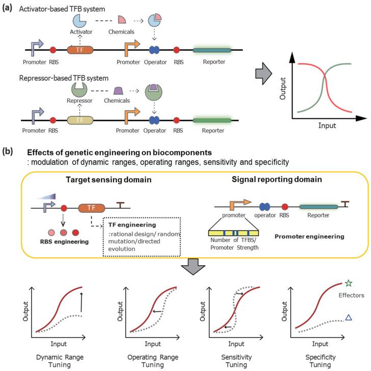 https://cdn.ncbi.nlm.nih.gov/pmc/blobs/f19d/12024804/cac1fa95ecbd/biosensors-15-00221-g001.jpg