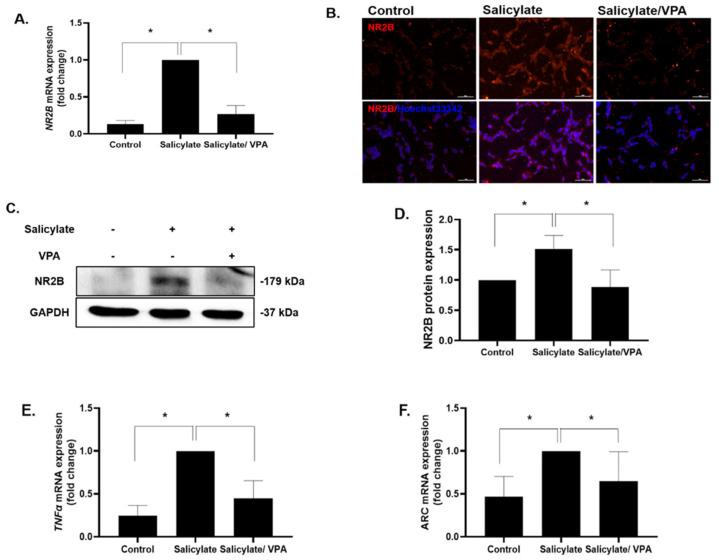 https://cdn.ncbi.nlm.nih.gov/pmc/blobs/f19d/8744959/9eaf82899b07/ijms-23-00023-g001.jpg