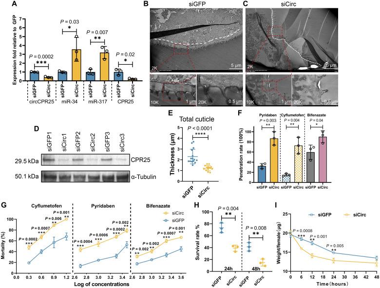 https://cdn.ncbi.nlm.nih.gov/pmc/blobs/f19e/12175905/7f280e31e27f/sciadv.ads3361-f6.jpg