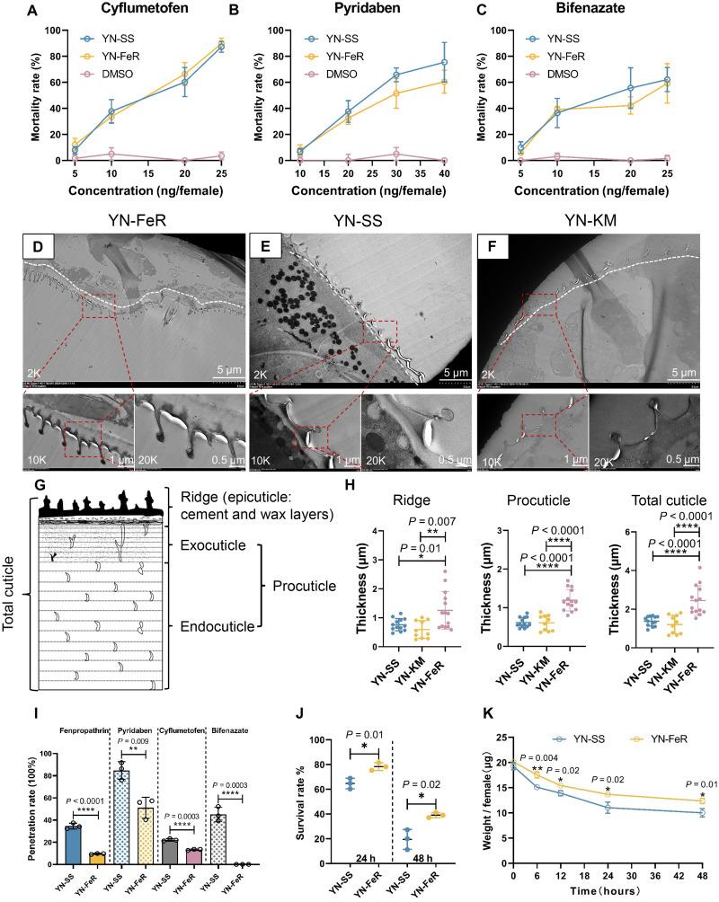https://cdn.ncbi.nlm.nih.gov/pmc/blobs/f19e/12175905/900aae80bdd0/sciadv.ads3361-f1.jpg