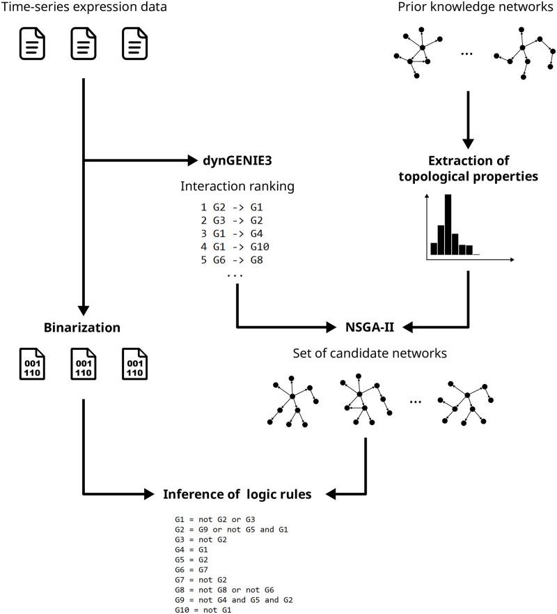 https://cdn.ncbi.nlm.nih.gov/pmc/blobs/f19f/11166287/d056e3a9ab60/pone.0304102.g001.jpg