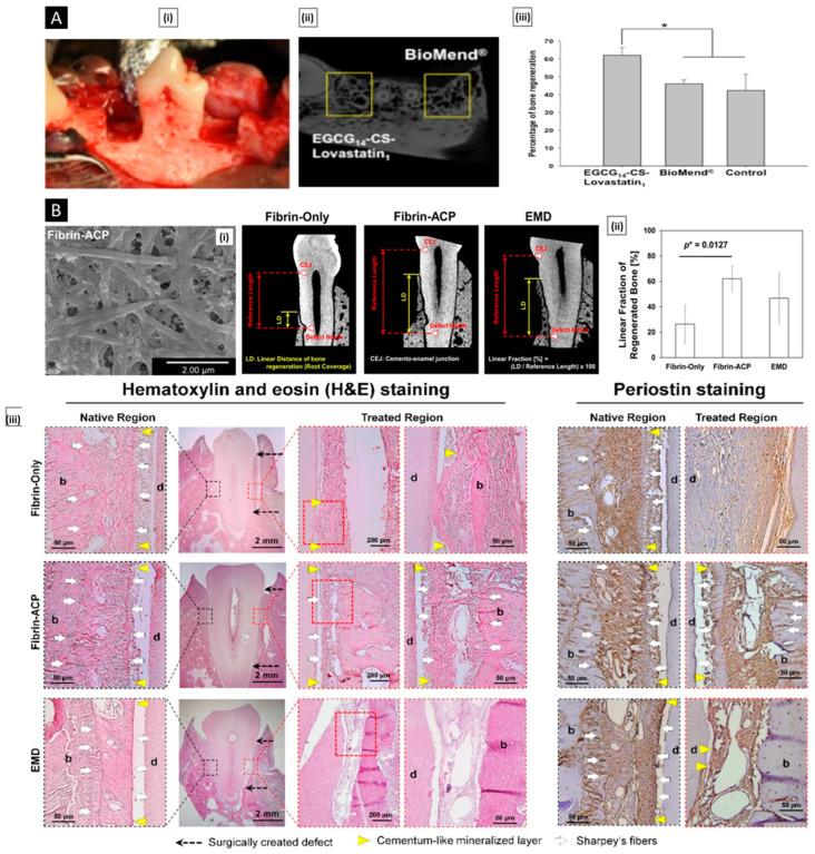 https://cdn.ncbi.nlm.nih.gov/pmc/blobs/f1a2/10144389/bbb704032c79/pharmaceutics-15-01313-g013.jpg