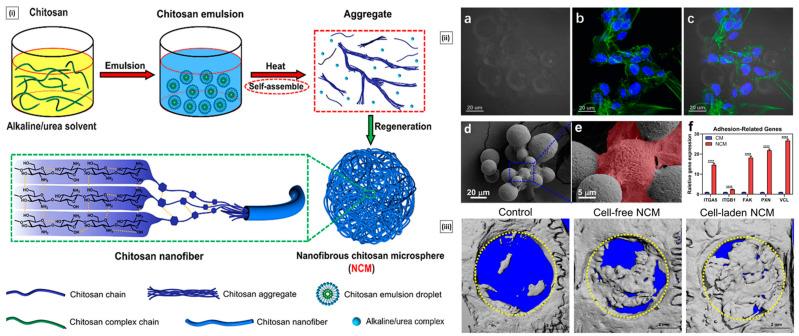 https://cdn.ncbi.nlm.nih.gov/pmc/blobs/f1a2/10144389/d3a3ff31c75e/pharmaceutics-15-01313-g009.jpg