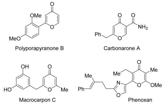 https://cdn.ncbi.nlm.nih.gov/pmc/blobs/f1a3/8347980/175ce7d4e485/molecules-26-04415-g001.jpg