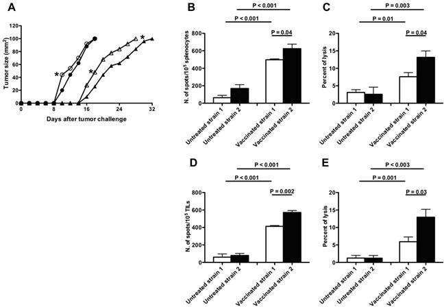 https://cdn.ncbi.nlm.nih.gov/pmc/blobs/f1a4/5308622/43a9afe4b69c/oncotarget-07-60872-g005.jpg