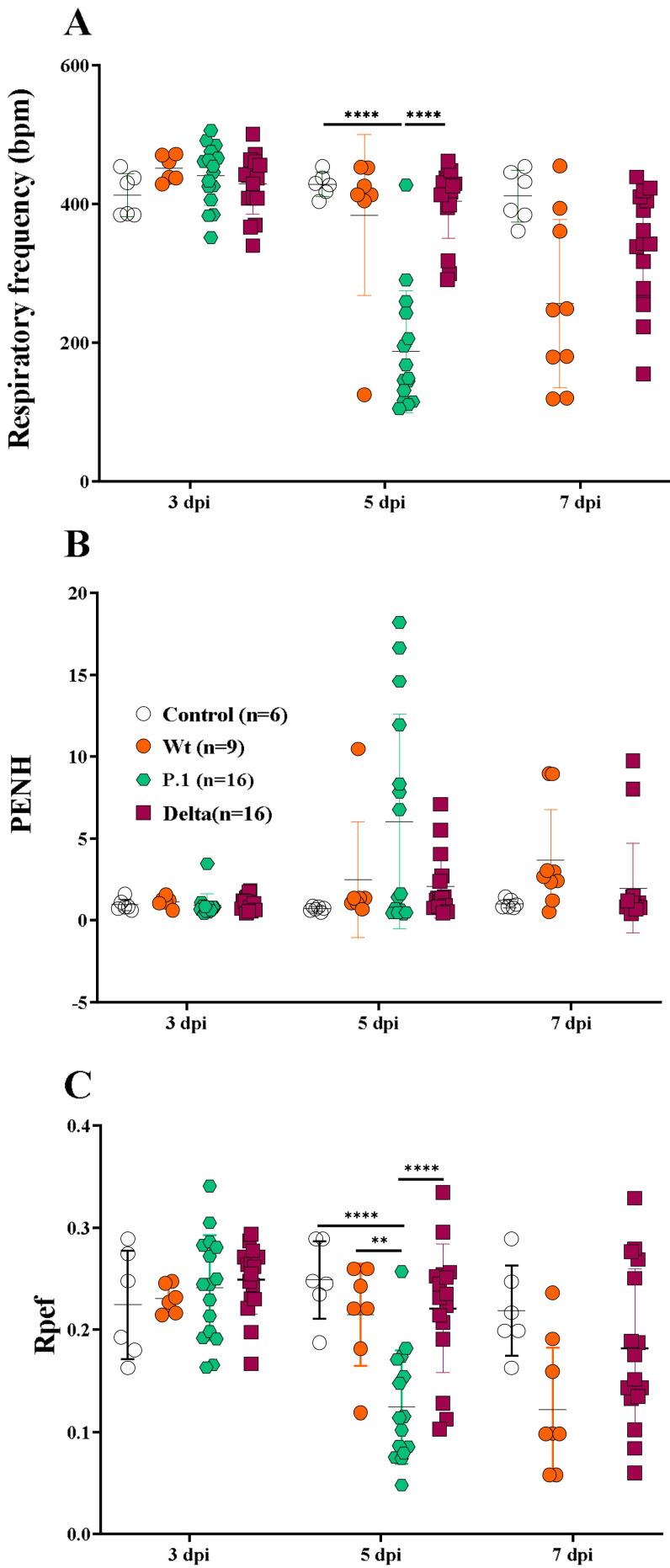 https://cdn.ncbi.nlm.nih.gov/pmc/blobs/f1a5/10146242/2bfdb1c7de4e/viruses-15-00999-g002.jpg