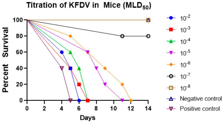 https://cdn.ncbi.nlm.nih.gov/pmc/blobs/f1a9/10377137/7dbf34c64585/biomedicines-11-01871-g005.jpg