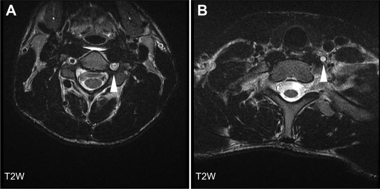 https://cdn.ncbi.nlm.nih.gov/pmc/blobs/f1a9/6852355/f14cb12bb30c/10.1177_2329048X19867800-fig1.jpg