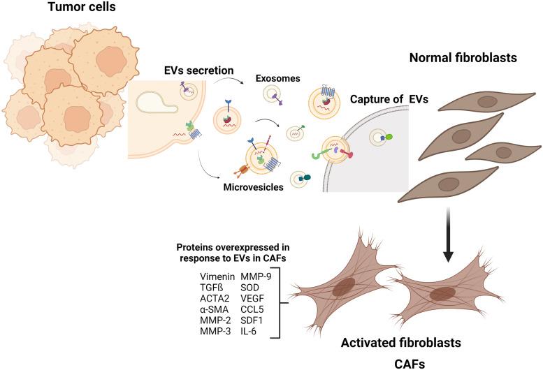 https://cdn.ncbi.nlm.nih.gov/pmc/blobs/f1ab/9558853/93e6296d9a9b/10.1177_15330338221131647-fig3.jpg