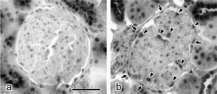 https://cdn.ncbi.nlm.nih.gov/pmc/blobs/f1ad/12229783/1b581a818e6f/AHC25-00022f03.jpg